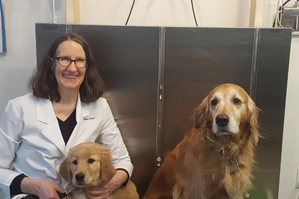 vet smiling with dogs